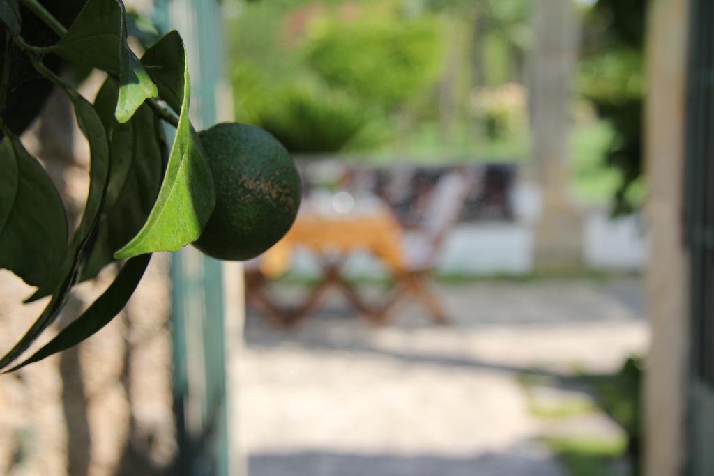 Bed and Breakfast Parco Degli Aranci Cutrofiano Exterior foto